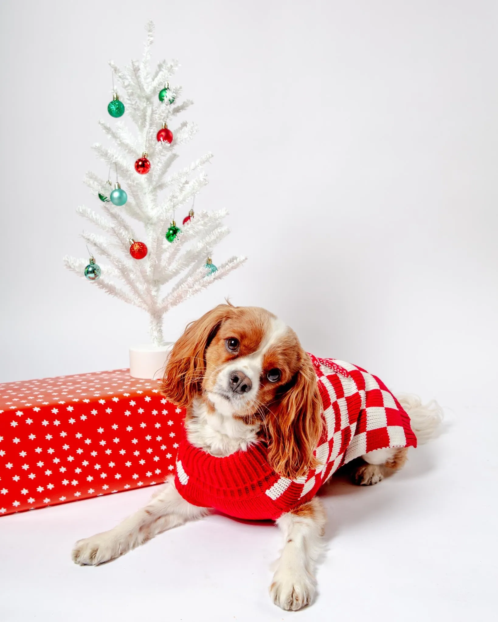 Checkerboard Snowman Sweater for Dogs (FINAL SALE)