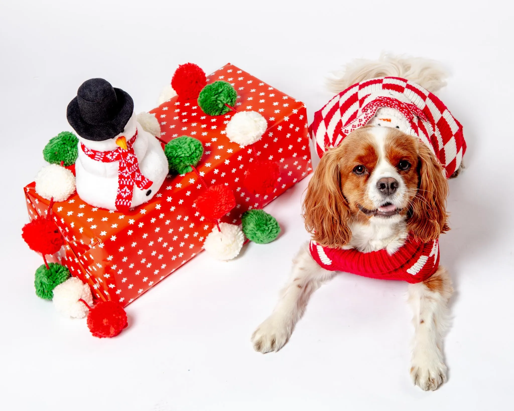 Checkerboard Snowman Sweater for Dogs (FINAL SALE)