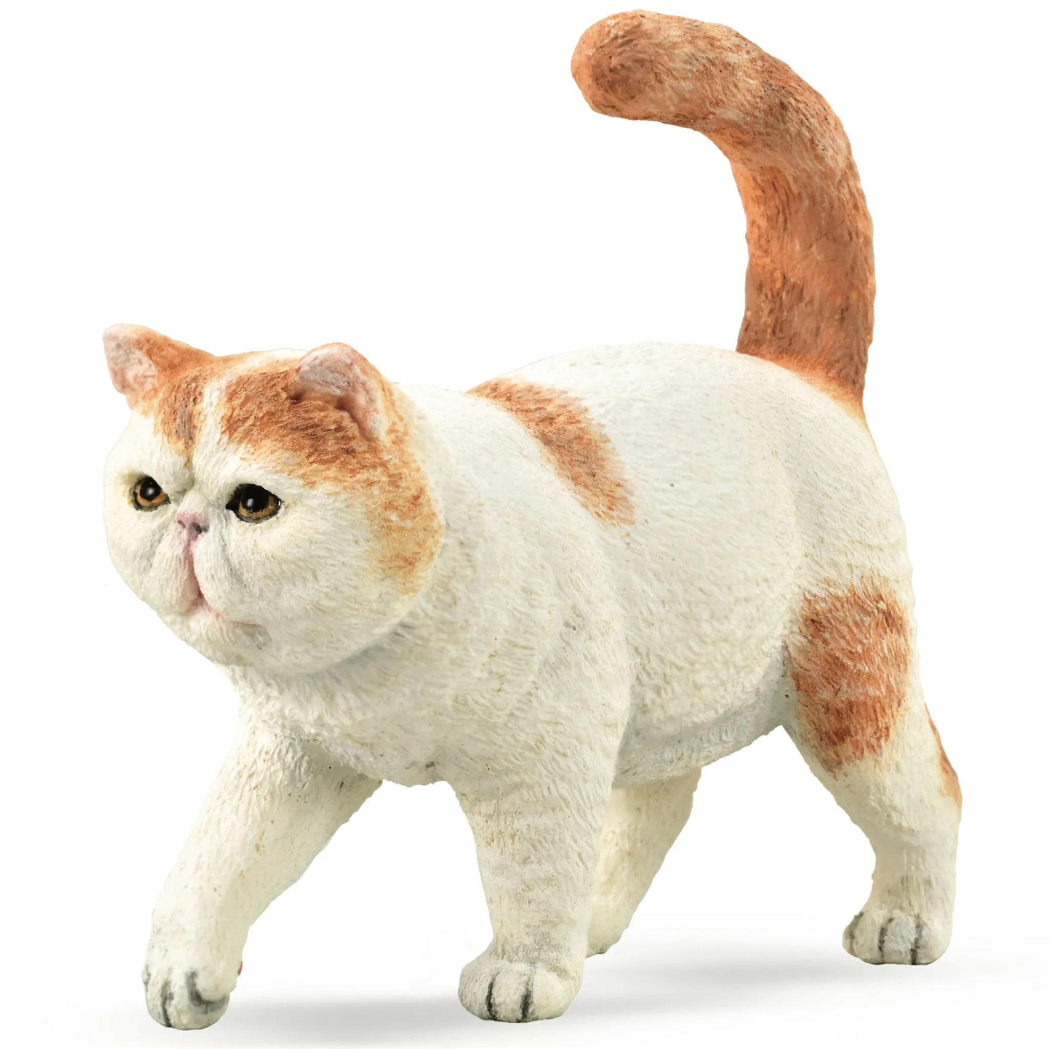 Collecta - Cat Exotic Shorthair